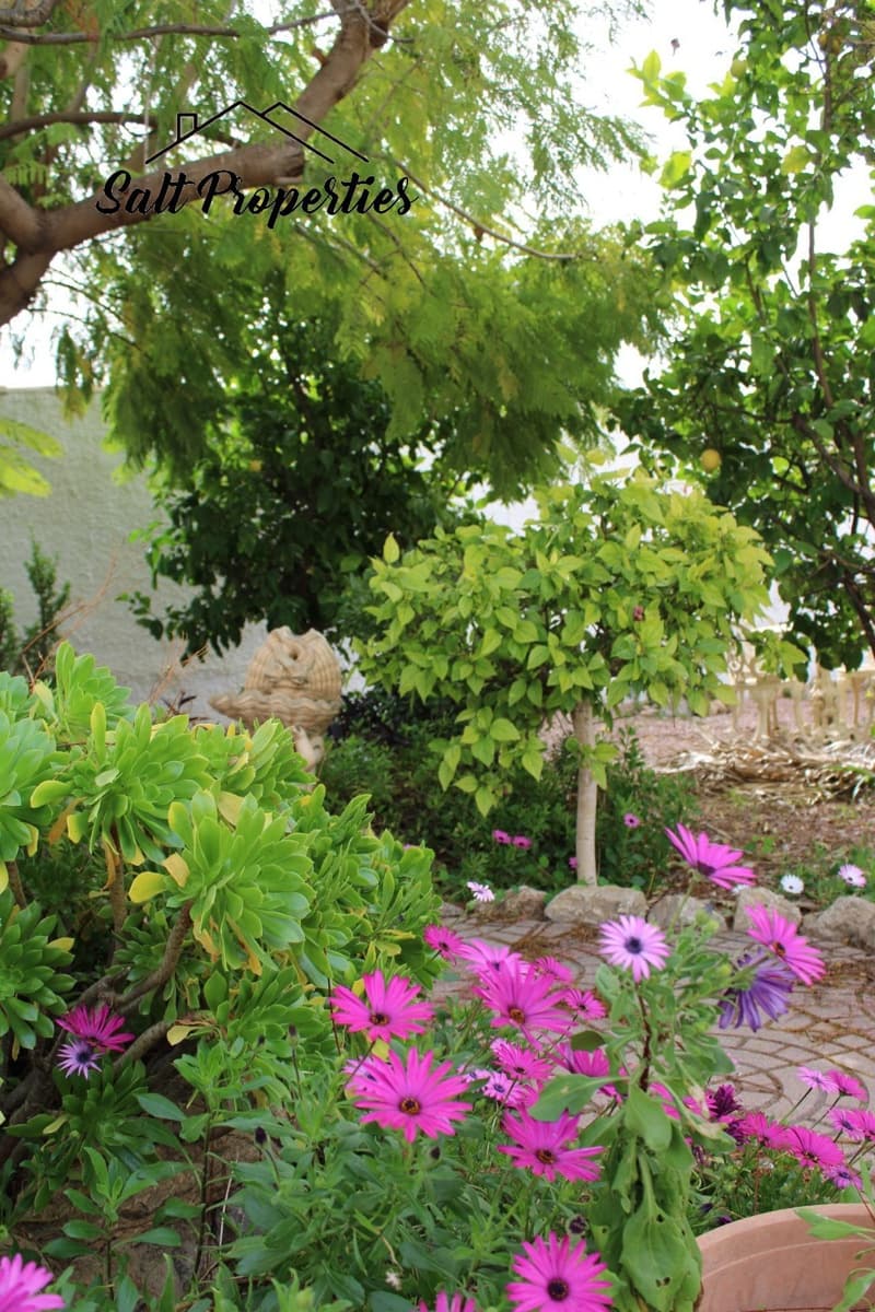 4 chambre Villa/Maison à vendre à El Chaparral - 530 000 € (Ref: 9882221)
