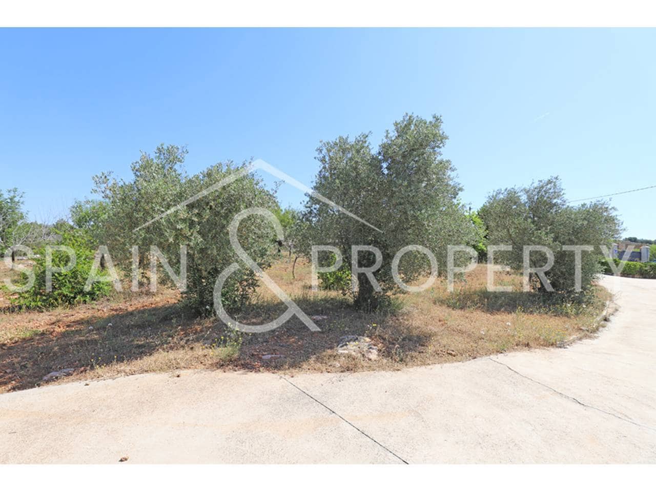 3 soveværelse Villa til salg i Montserrat med swimmingpool garage - € 220.000 (Ref: 9036252)