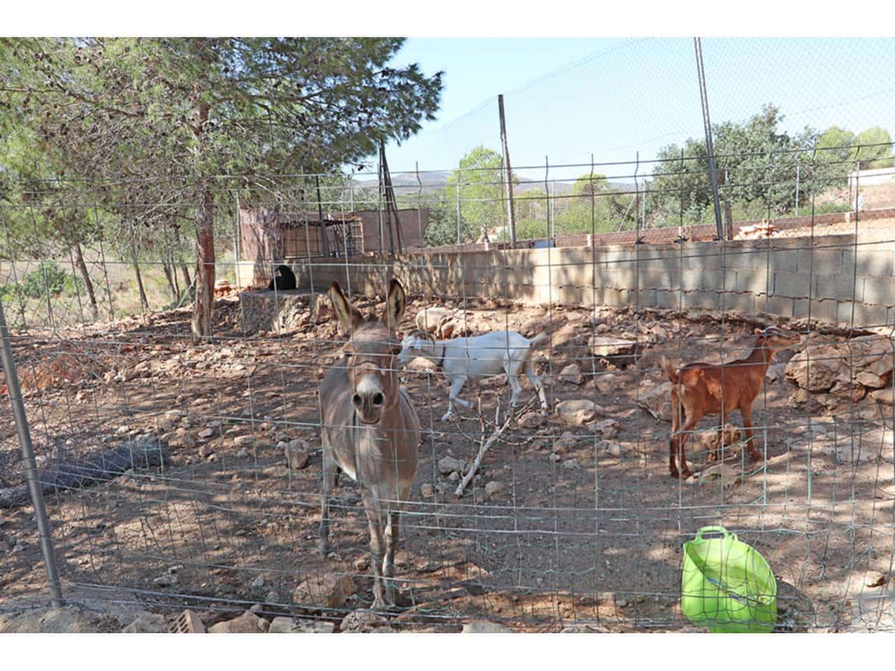 4 soverom Villa til salgs i Catadau med svømmebasseng garasje - € 139 000 (Ref: 9251710)