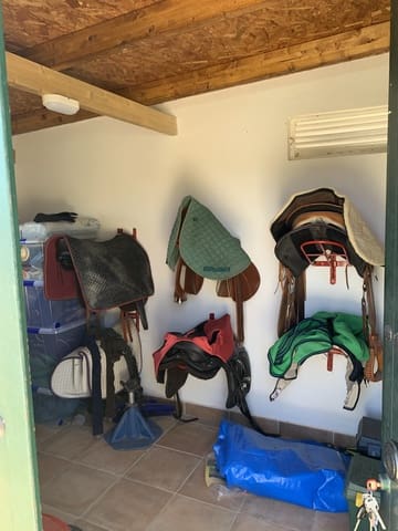2 slaapkamer Finca/Landhuis te huur in Almonte met zwembad garage - € 995 (Ref: 9875448)