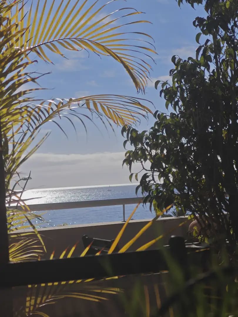 2 bedroom Flat for sale in Santa Cruz de Tenerife - € 225,551 (Ref: 9981151)