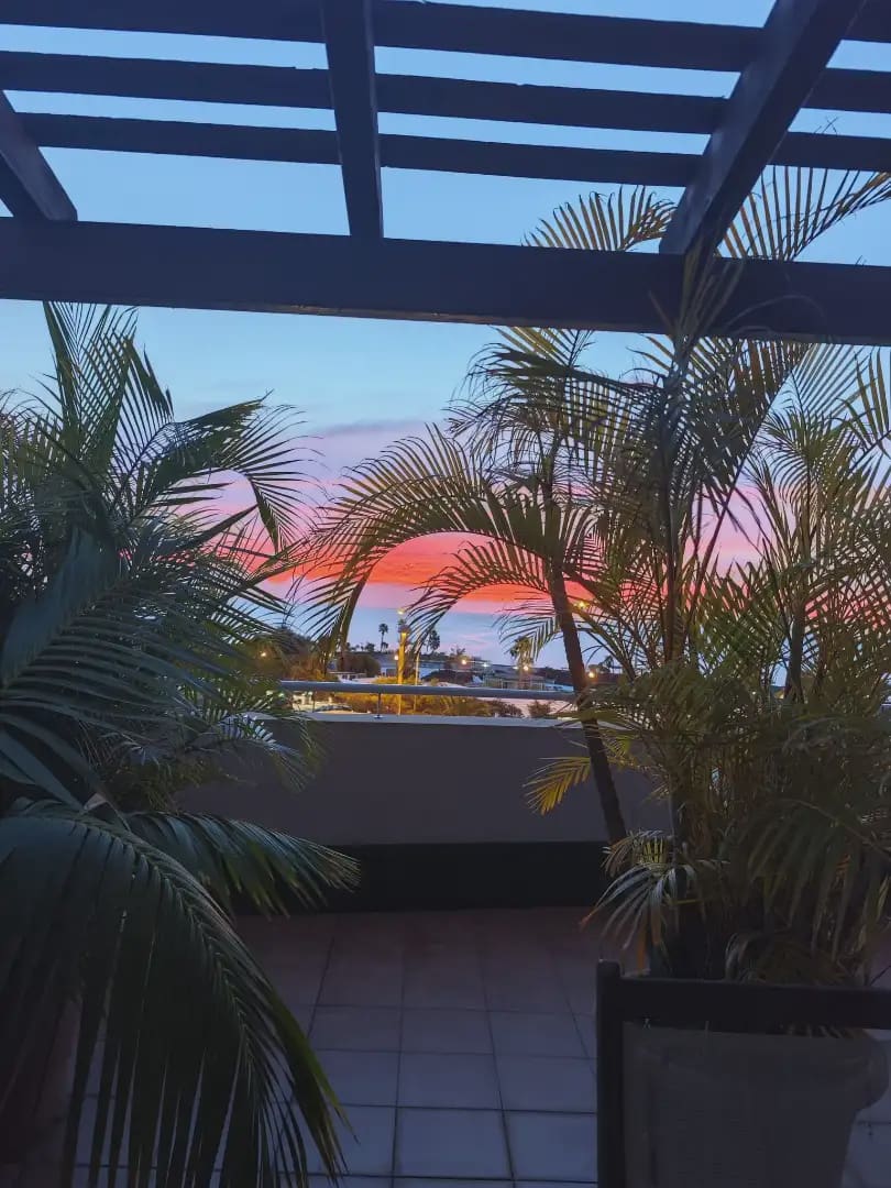 2 bedroom Flat for sale in Santa Cruz de Tenerife - € 225,551 (Ref: 9981151)