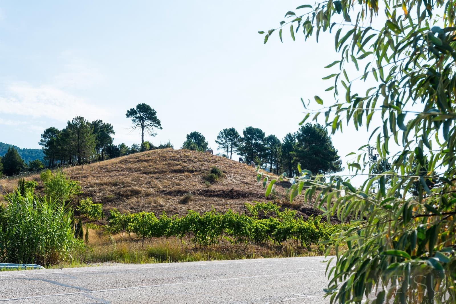 5 soverom Finca/Herregård til salgs i Riopar med svømmebasseng - € 485 000 (Ref: 10171964)