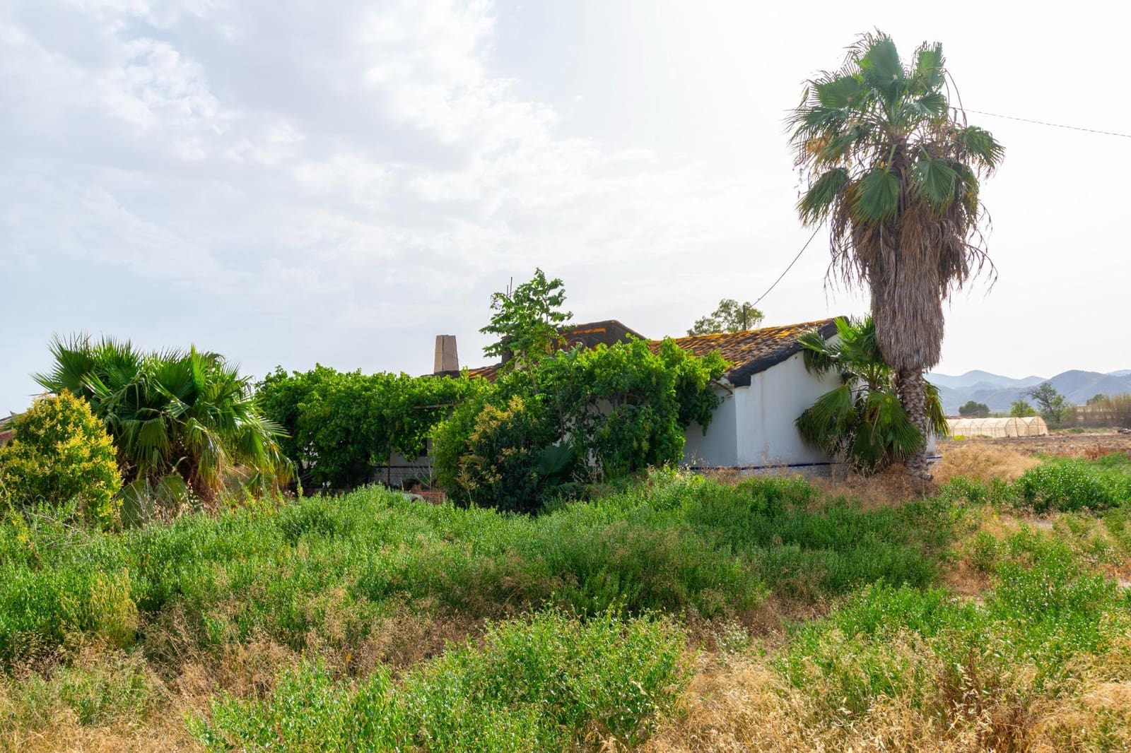 Terrain à Bâtir à vendre à La Hoya - 200 000 € (Ref: 10004227)
