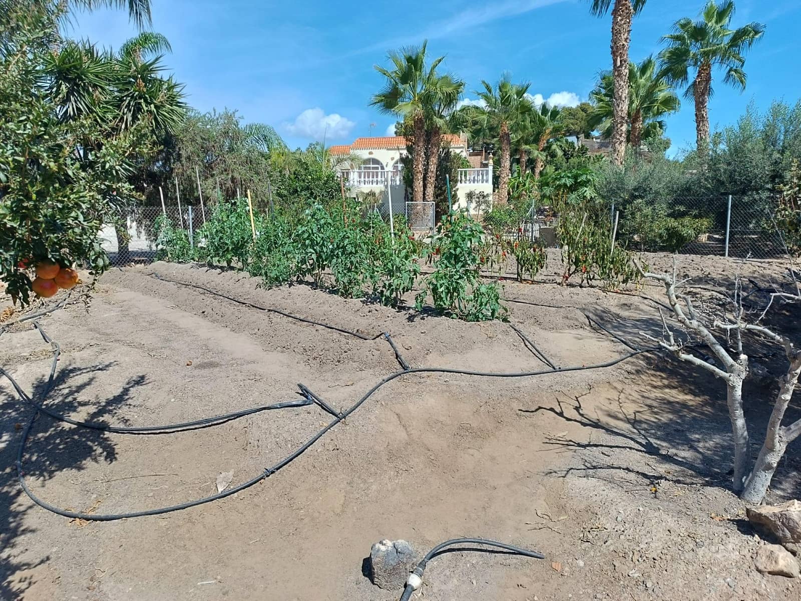 3 bedroom Villa for sale in Aguilas with pool garage - € 310,900 (Ref: 9892762)