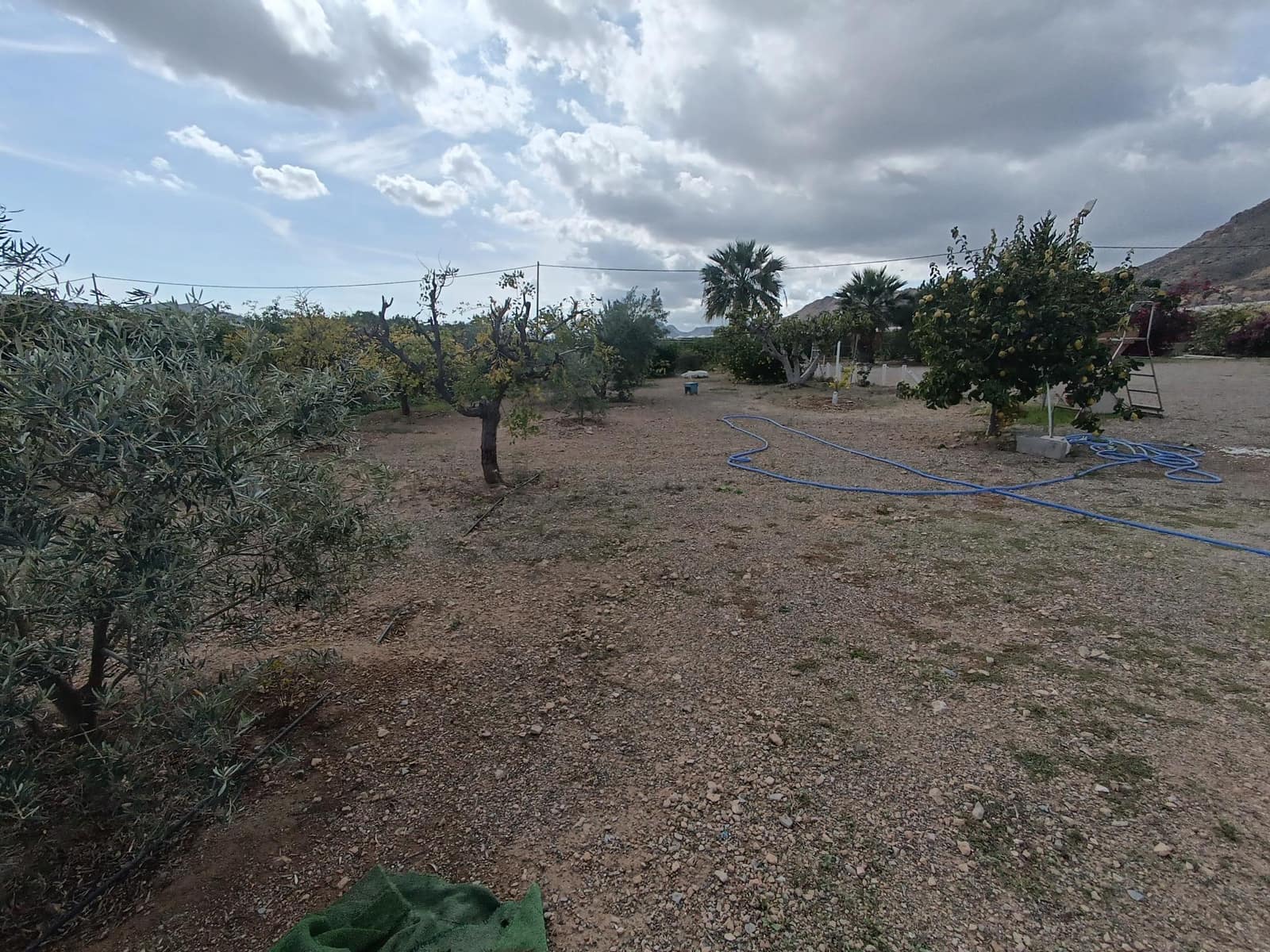 2 bedroom Finca/Country House for sale in Aguilas - € 139,800 (Ref: 9892772)