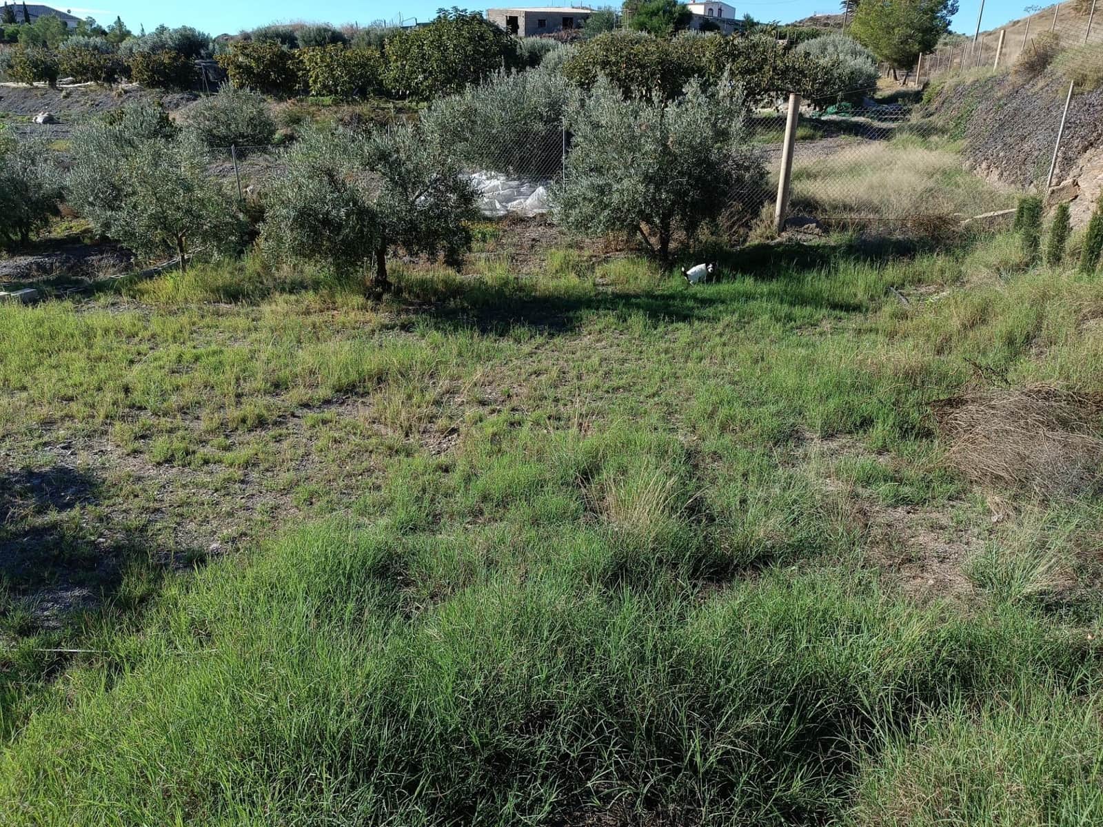 Byggetomt til salgs i Aguilas - € 95 000 (Ref: 9892773)