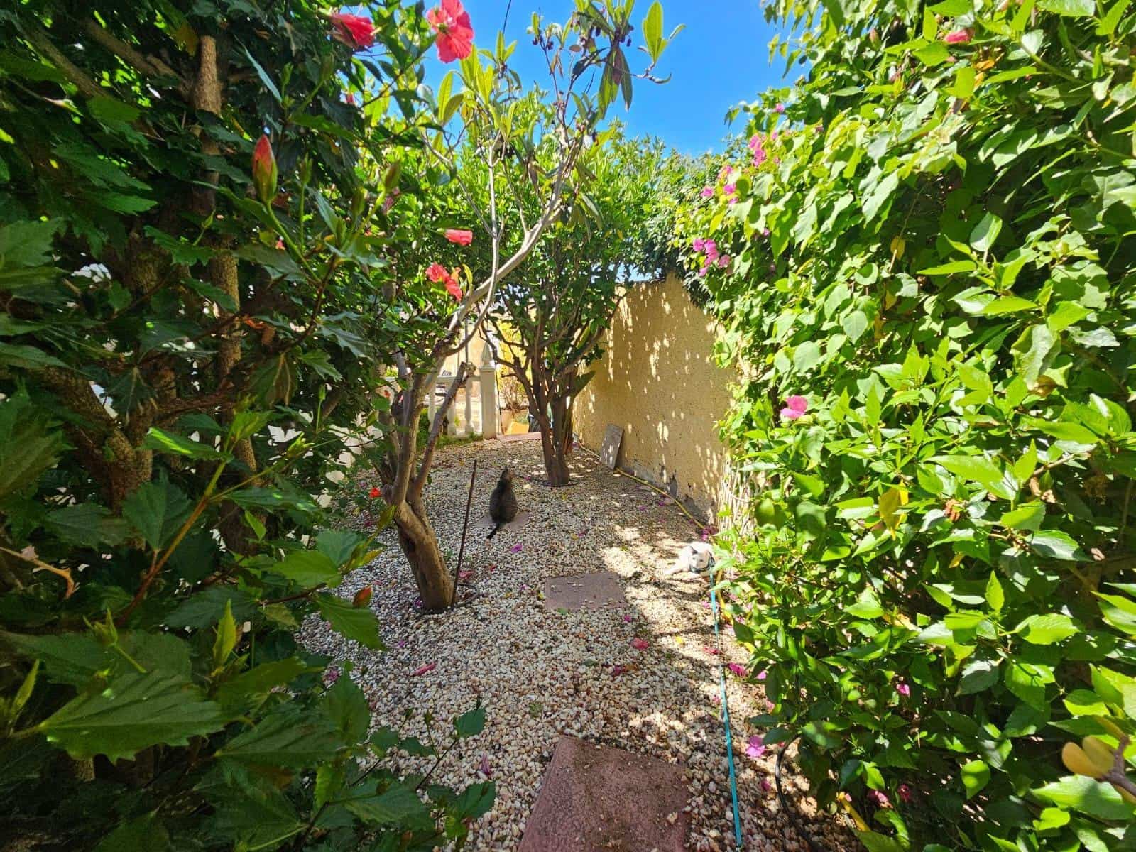 4 bedroom Villa for sale in Calabardina with pool garage - € 450,000 (Ref: 9892854)