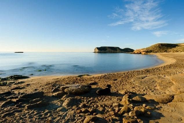 2 quarto Apartamento para venda em Aguilas - 300 000 € (Ref: 9892861)