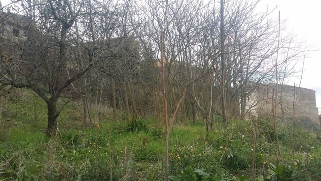 Area Edificabile in vendita in Biar - 190.000 € (Rif: 10055629)