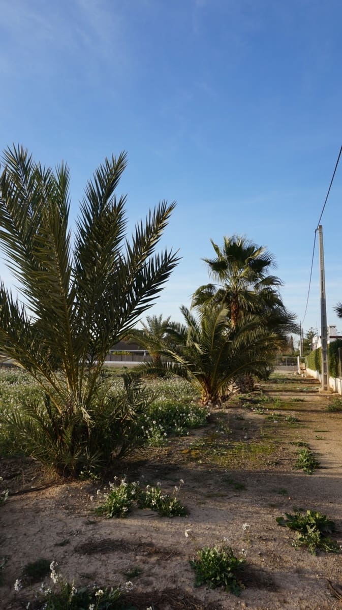 Solar/Parcela en Las Bayas en venta - 165.500 € (Ref: 10055631)