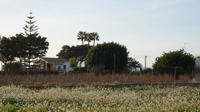 Solar/Parcela en Las Bayas, Elche / Elx en venta - 165.500 € (Ref: 10055631)