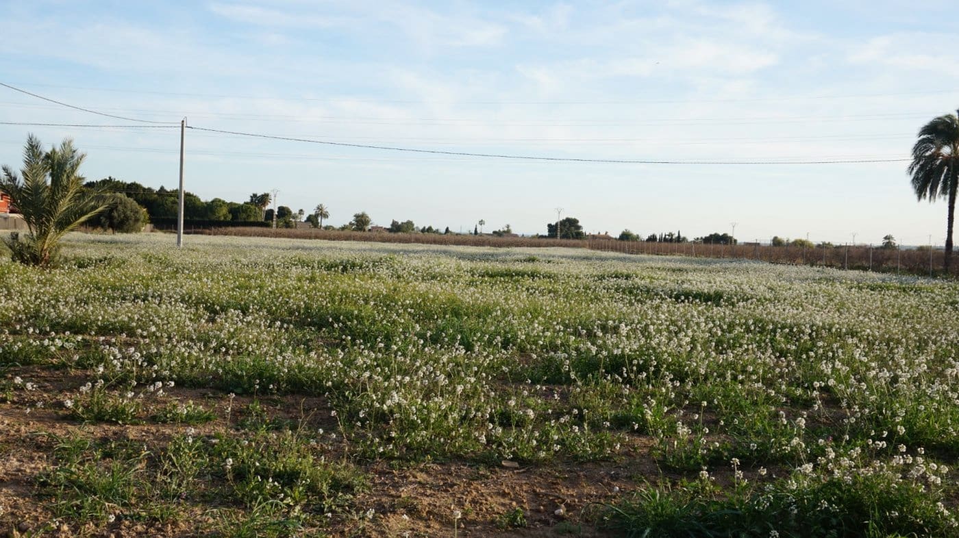 Solar/Parcela en Las Bayas en venta - 165.500 € (Ref: 10055631)