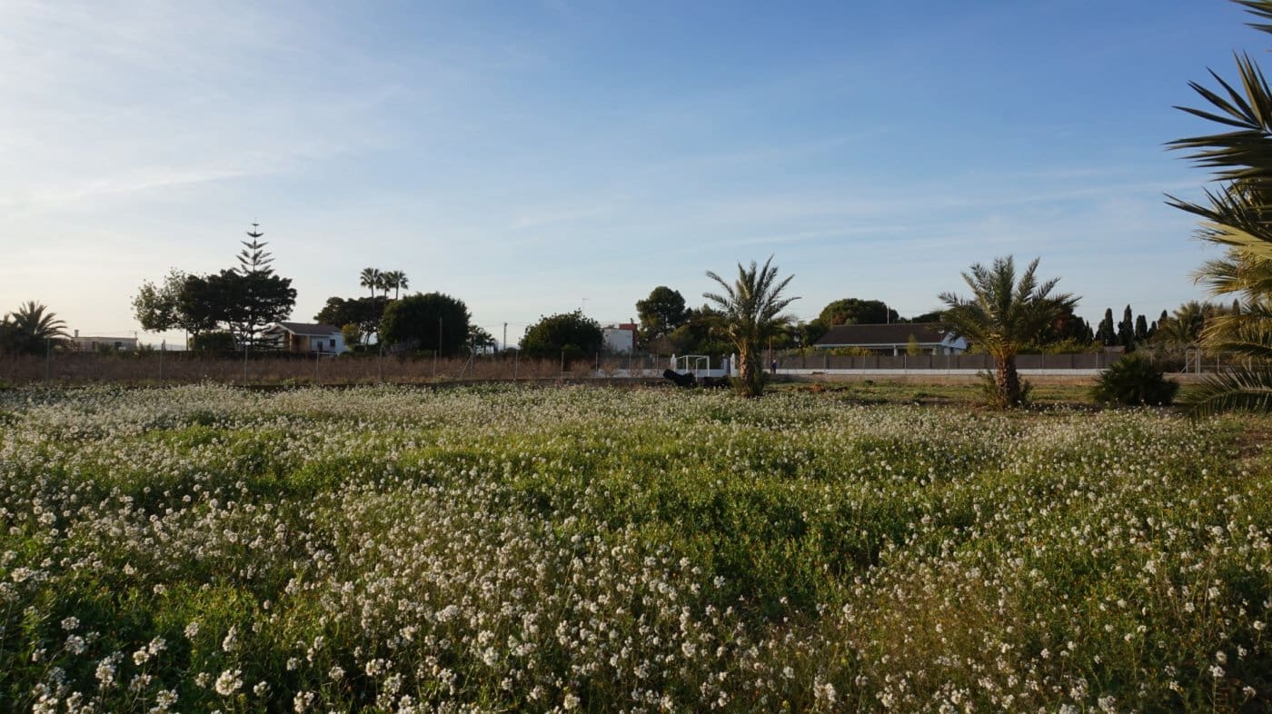 Solar/Parcela en Las Bayas en venta - 165.500 € (Ref: 10055631)