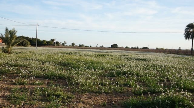 Solar/Parcela en Las Bayas, Elche / Elx en venta - 165.500 € (Ref: 10055631)