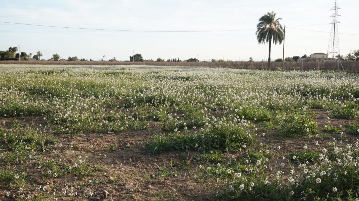 Solar/Parcela en Las Bayas en venta - 165.500 € (Ref: 10055631)