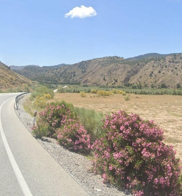 7 quarto Casa de Caverna para venda em Huesa - 60 000 € (Ref: 10059238)