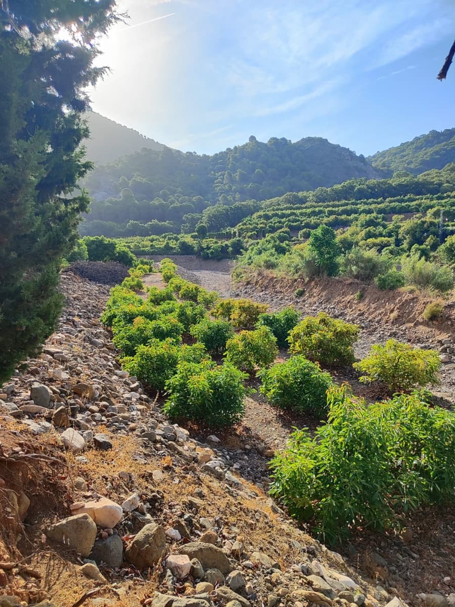 3 bedroom Finca/Country House for sale in Coin - € 1,100,000 (Ref: 9898432)