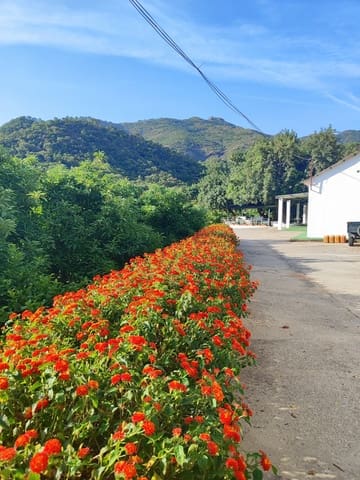 3 Zimmer Finca/Landgut zu verkaufen in Coín - 1.100.000 € (Ref: 9898432)