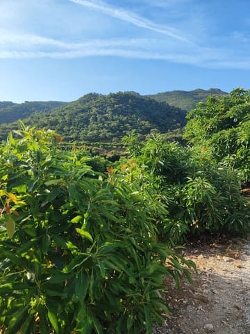 3 Zimmer Finca/Landgut zu verkaufen in Coín - 1.100.000 € (Ref: 9898432)