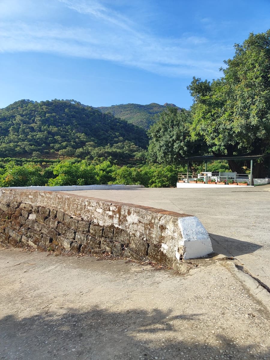 3 bedroom Finca/Country House for sale in Coin - € 1,100,000 (Ref: 9898432)