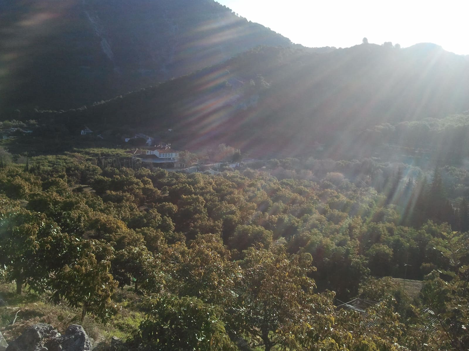 3 bedroom Finca/Country House for sale in Coin - € 1,100,000 (Ref: 9898432)