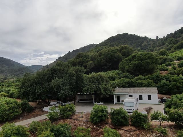 3 Zimmer Finca/Landgut zu verkaufen in Coín - 1.100.000 € (Ref: 9898432)