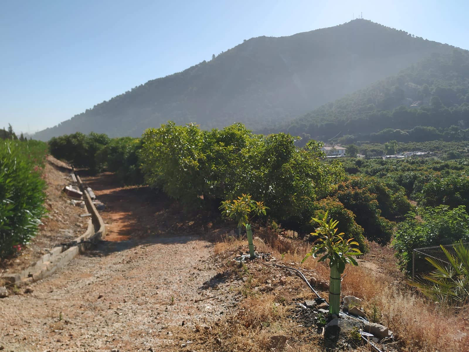 3 bedroom Finca/Country House for sale in Coin - € 1,100,000 (Ref: 9898432)