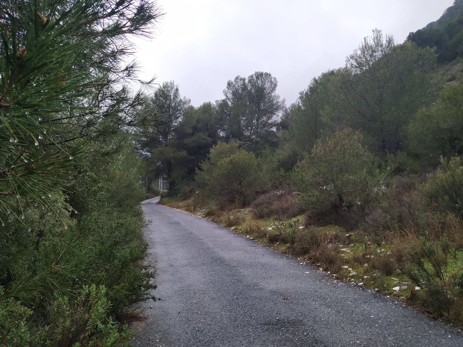 3 bedroom Finca/Country House for sale in Coin - € 1,100,000 (Ref: 9898432)