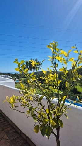 2 makuuhuone Omakotitalo myytävänä paikassa Estepona Golf, Estepona mukana uima-altaan 
autotalli - 777 000 € (Ref: 9991941)
