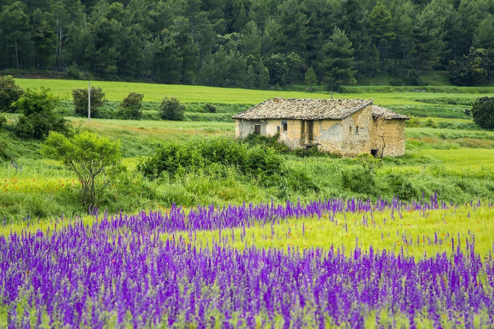 6 sypialnia Finka/Dom wiejski na sprzedaż w Sant Cebria de Vallalta z garażem - 1 500 000 € (Ref: 9911180)