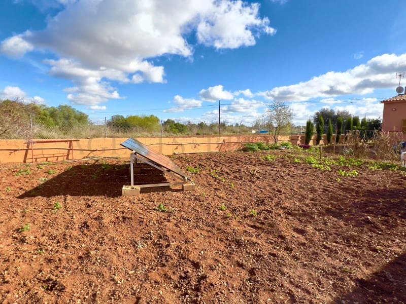 Finca/Casa Rural de 3 habitaciones en Algaida en venta con piscina garaje - 429.000 € (Ref: 9911461)