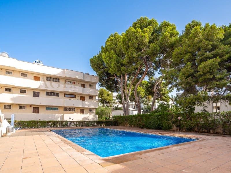 2 soveværelse Lejlighed til salg i Palmanova med swimmingpool garage - € 449.000 (Ref: 9975058)