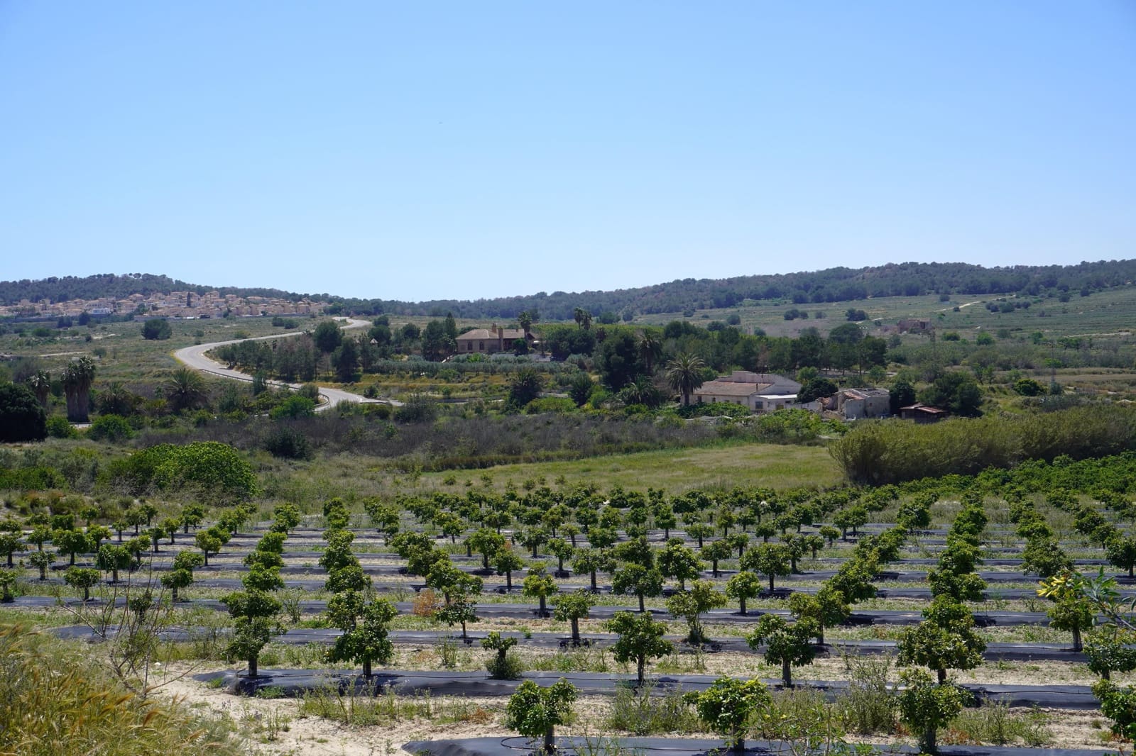 3 soverom Leilighet til salgs i San Miguel de Salinas med svømmebasseng garasje - € 219 900 (Ref: 10168959)