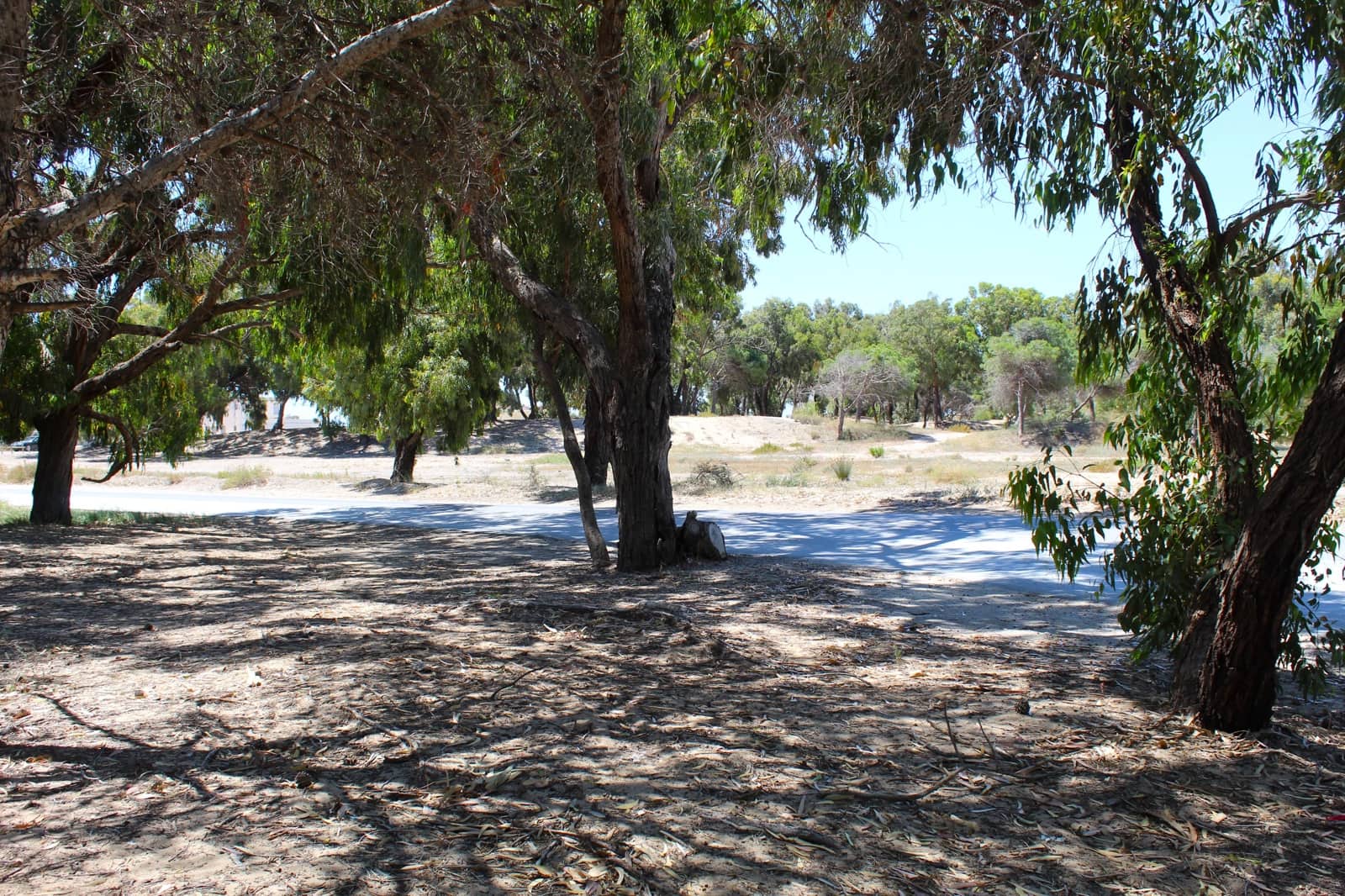 2 sovrum Lägenhet till salu i La Marina med pool garage - 246 000 € (Ref: 10170388)