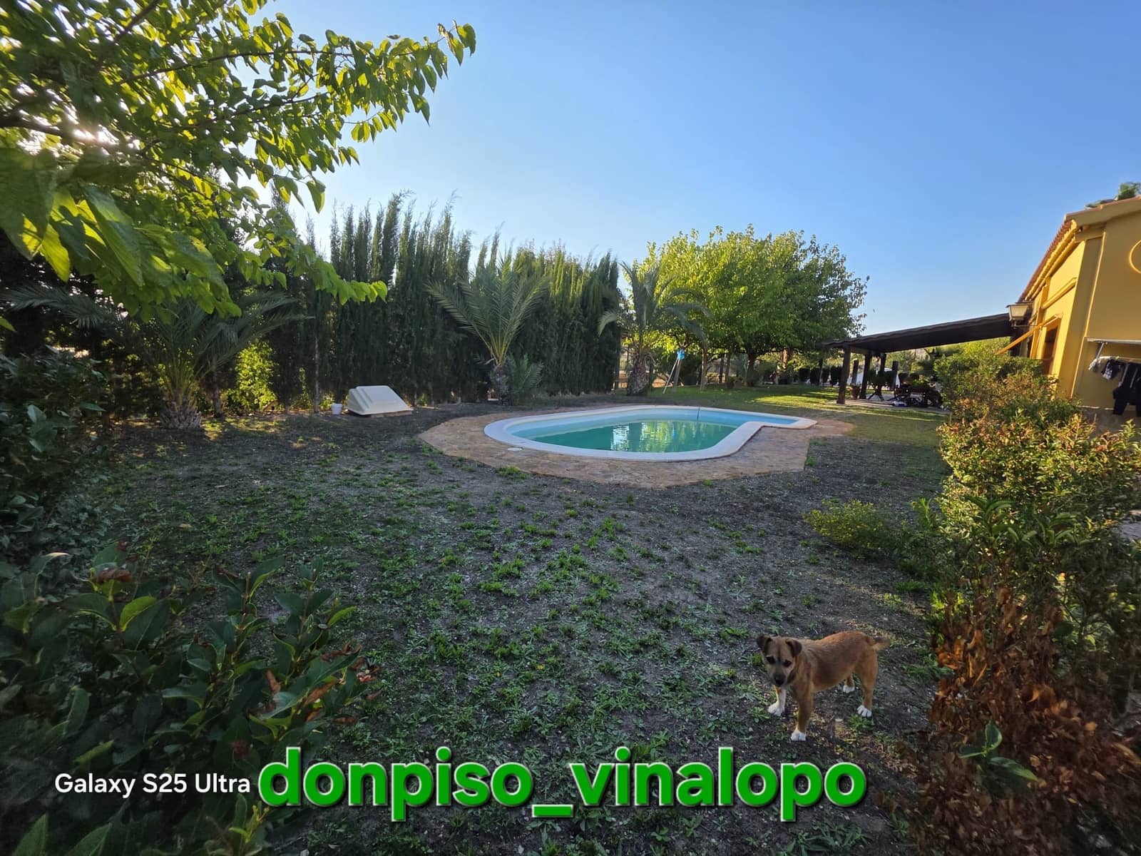 4 quarto Quinta/Casa Rural para venda em Petrel / Petrer com piscina - 1 250 000 € (Ref: 10165220)