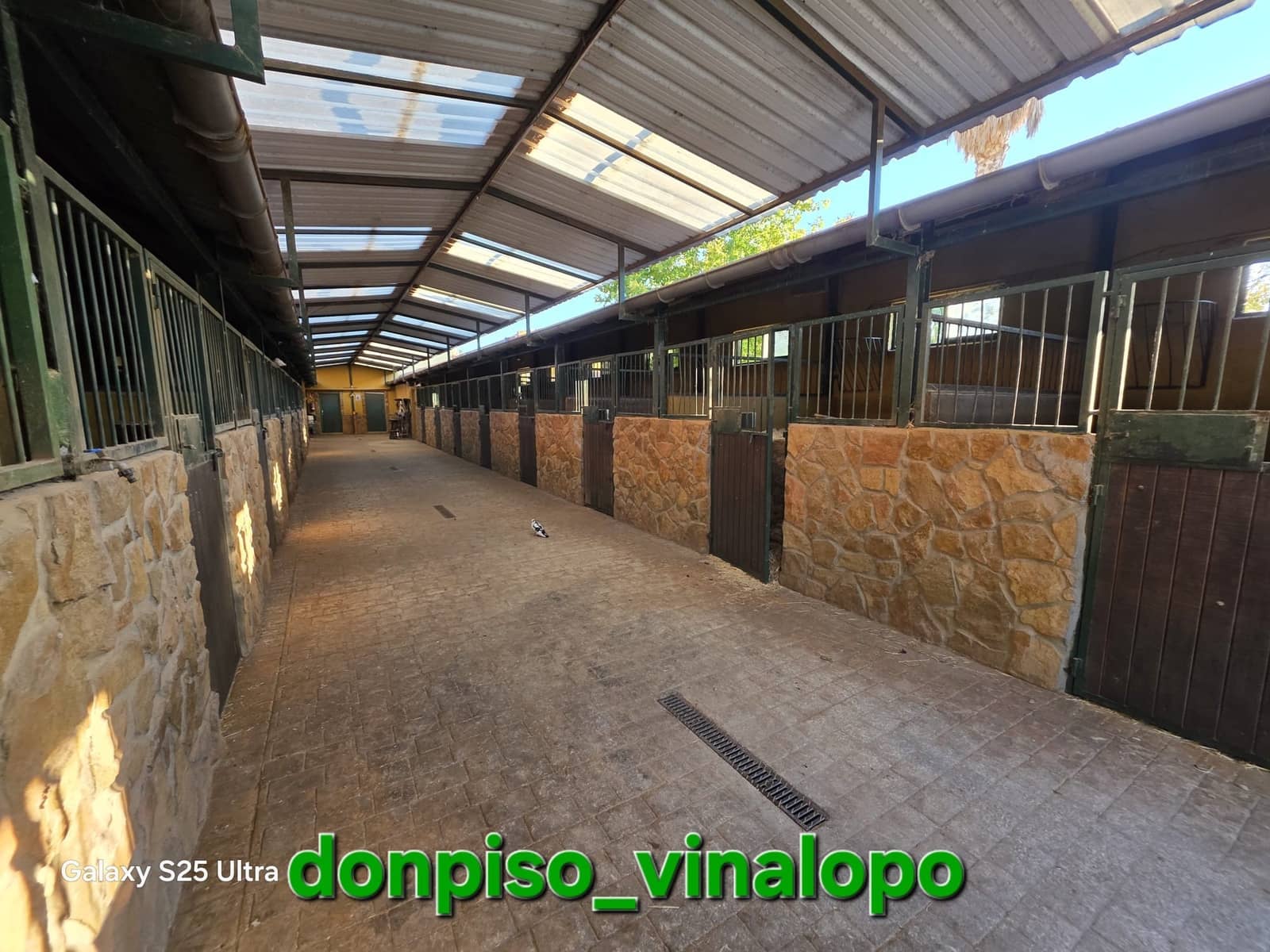 4 quarto Quinta/Casa Rural para venda em Petrel / Petrer com piscina - 1 250 000 € (Ref: 10165220)