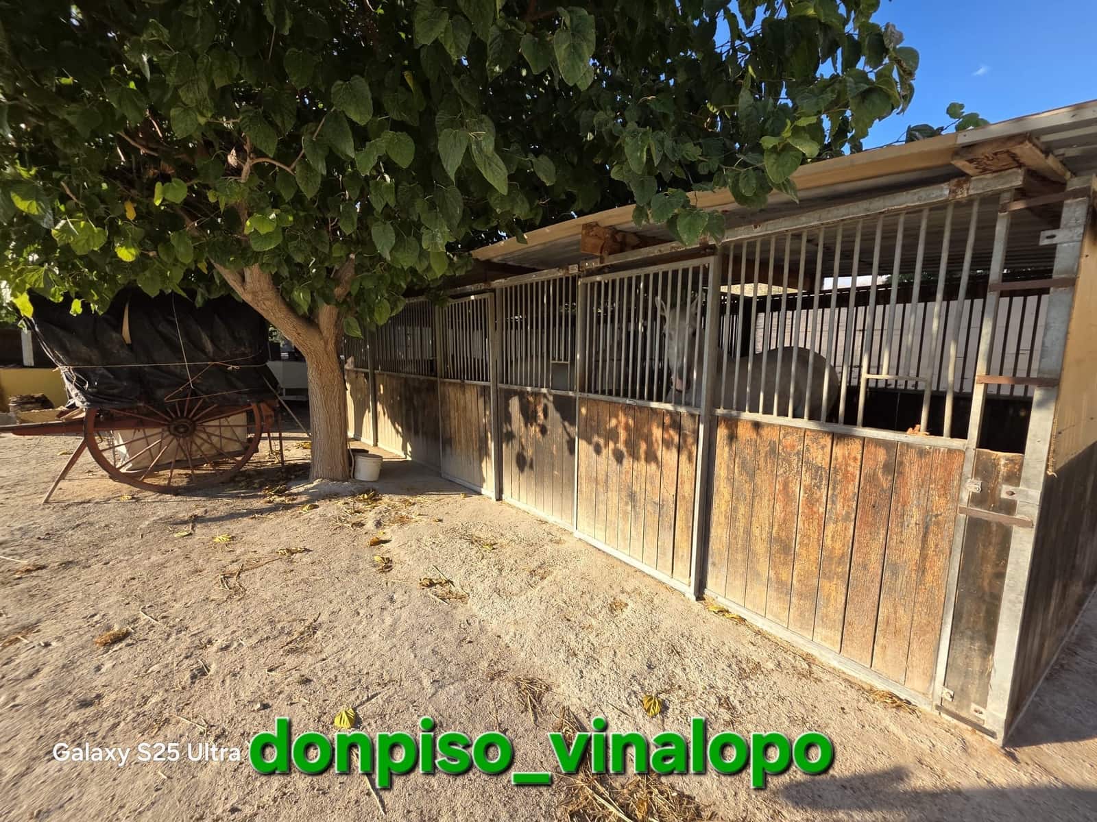 4 quarto Quinta/Casa Rural para venda em Petrel / Petrer com piscina - 1 250 000 € (Ref: 10165220)