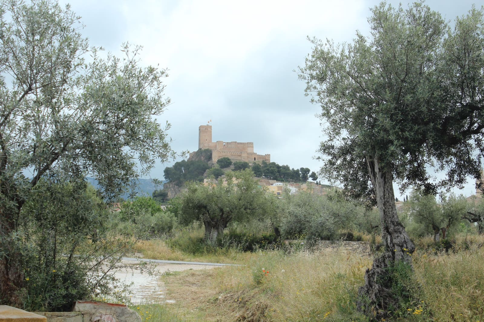 Terreno/Finca Rústica en Biar en venta - 179.000 € (Ref: 9919121)