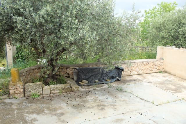 Terreno/Finca Rústica en Biar en venta - 179.000 € (Ref: 9919121)