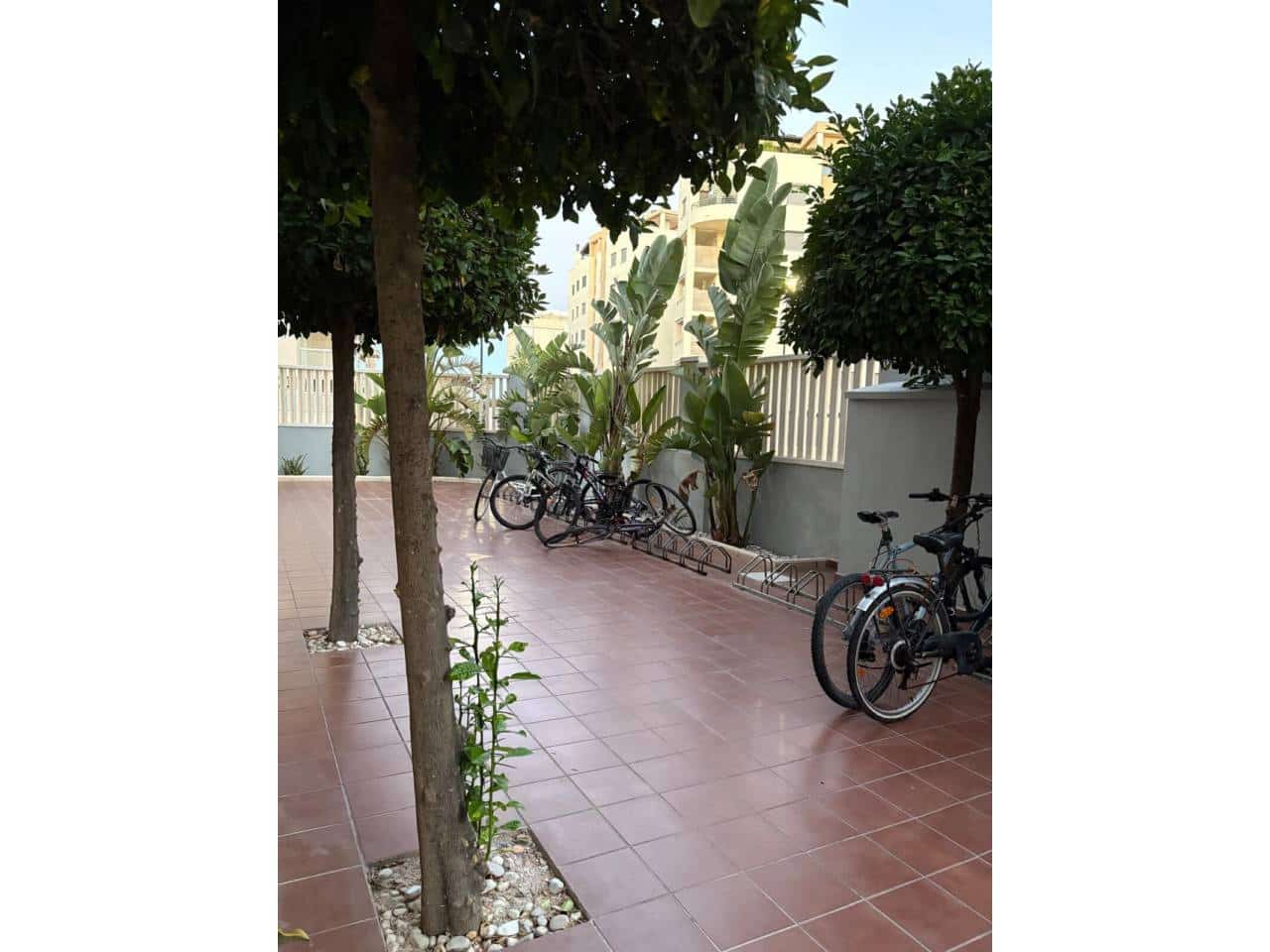 2 Zimmer Apartment zu vermieten in Daimus mit Pool - 800 € (Ref: 10127485)