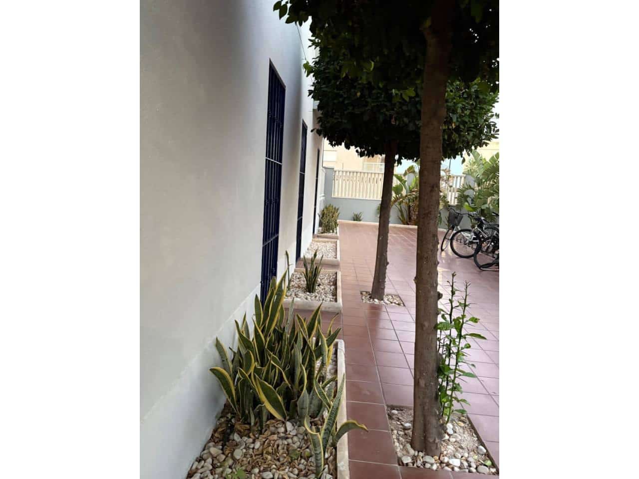 Piso de 2 habitaciones en Daimús en alquiler con piscina - 800 € (Ref: 10135332)