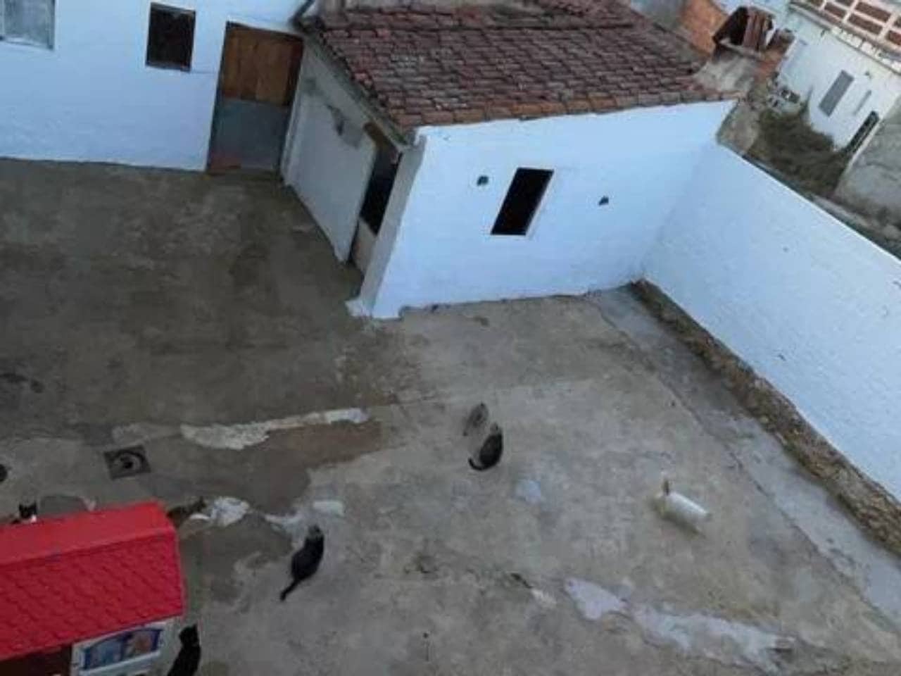 4 soveværelse Finca/Landehus til salg i Alfarrasi - € 205.000 (Ref: 9938487)