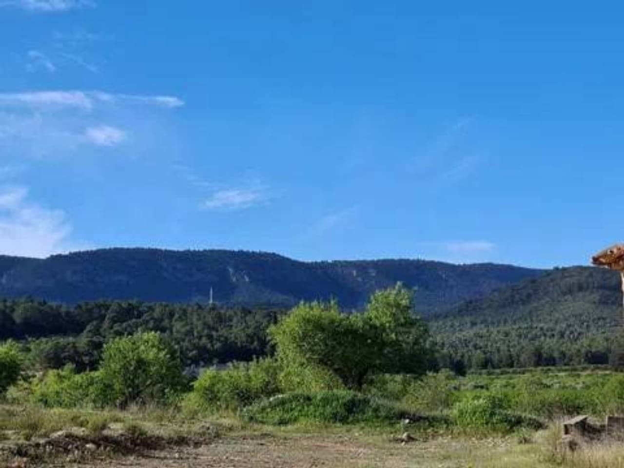 Villa for sale in Letur - € 29,600 (Ref: 9938488)
