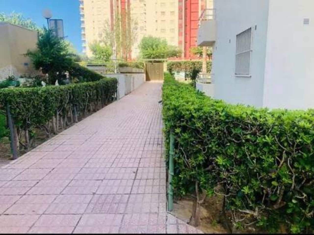 3 quarto Apartamento para arrendar em Gandia com piscina garagem - 1 000 € (Ref: 9938490)