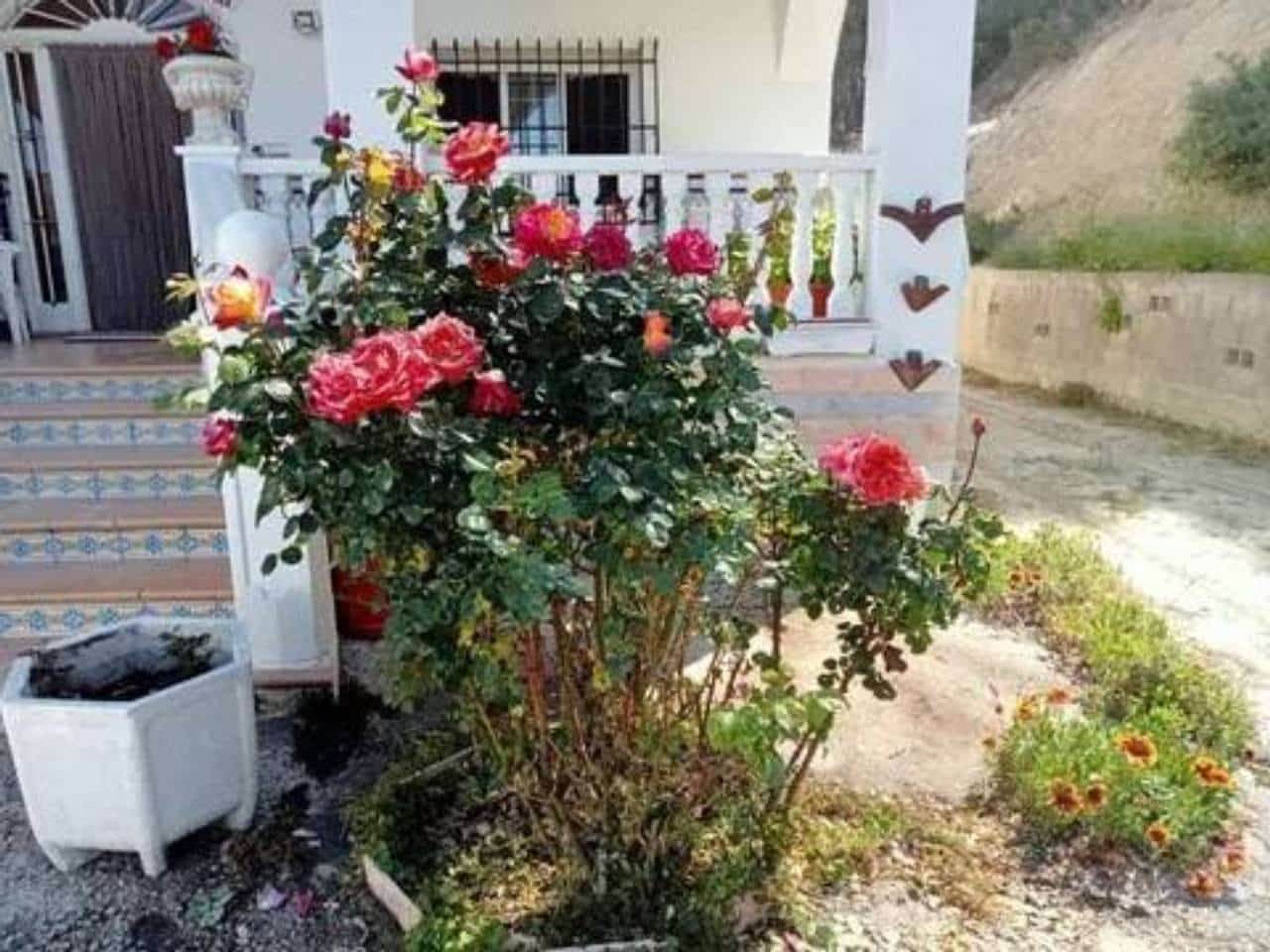 5 chambre Villa/Maison à vendre à Alcoy / Alcoi - 260 000 € (Ref: 9938494)