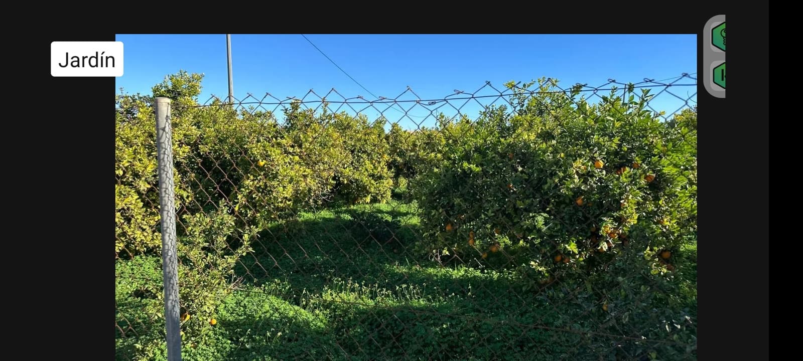 11 Zimmer Finca/Landgut zu verkaufen in Orihuela mit Pool Garage - 330.000 € (Ref: 9932242)