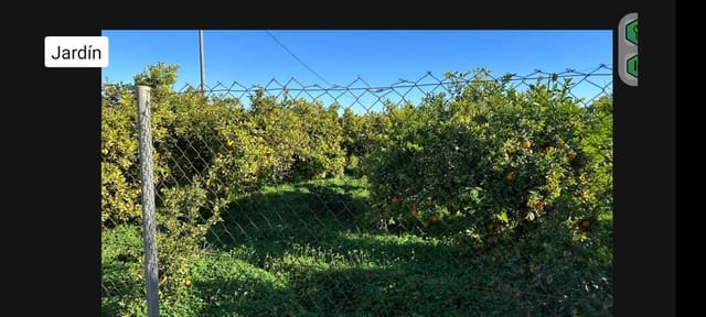 11 quarto Quinta/Casa Rural para venda em Molins - Campaneta - San Bartolomé, Orihuela com piscina garagem - 330 000 € (Ref: 9932242)