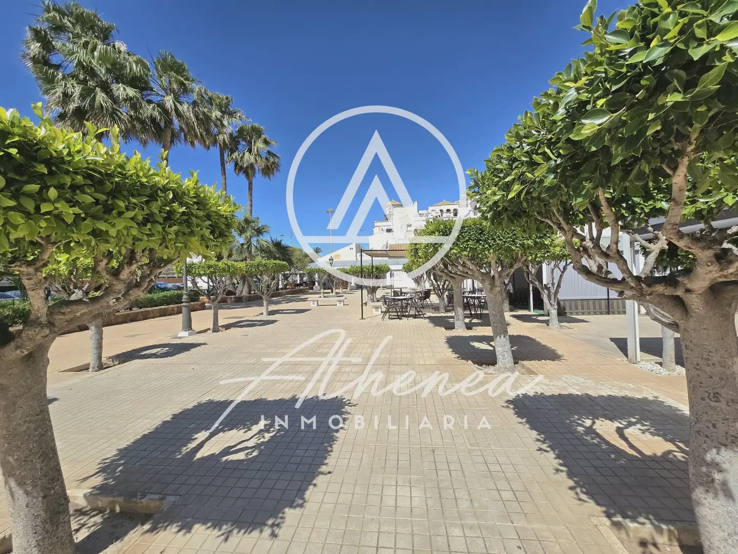 Comercial para venda em Roquetas de Mar - 90 000 € (Ref: 10014264)