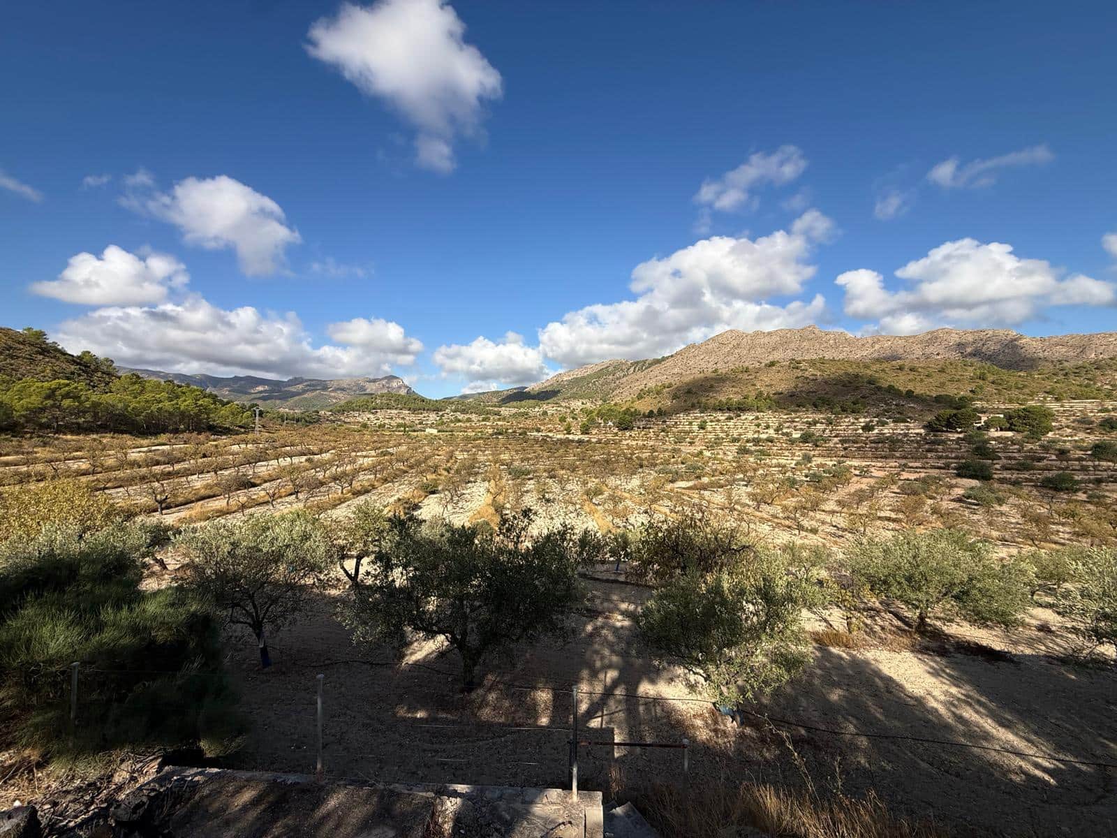 6 Zimmer Finca/Landgut zu verkaufen in Relleu mit Pool Garage - 449.000 € (Ref: 10089973)